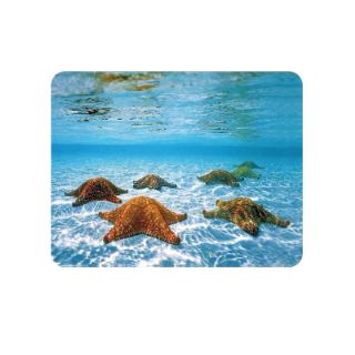 Obrázek z Magnet 3D 7x9cm - hvězdice (25) 